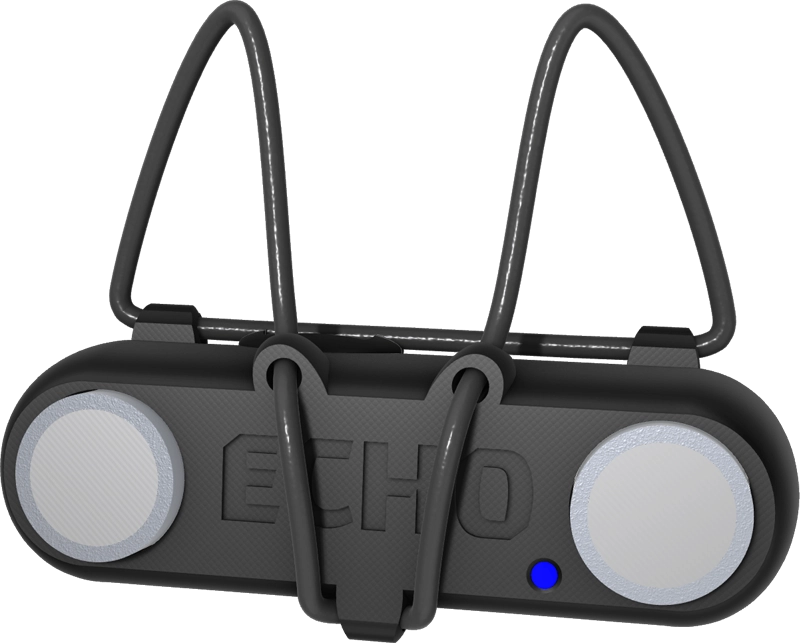 Echo Smart Activ 3D chien aveugle, blindsight, halo chien aveugle, Cécité chien, chiens malvoyants