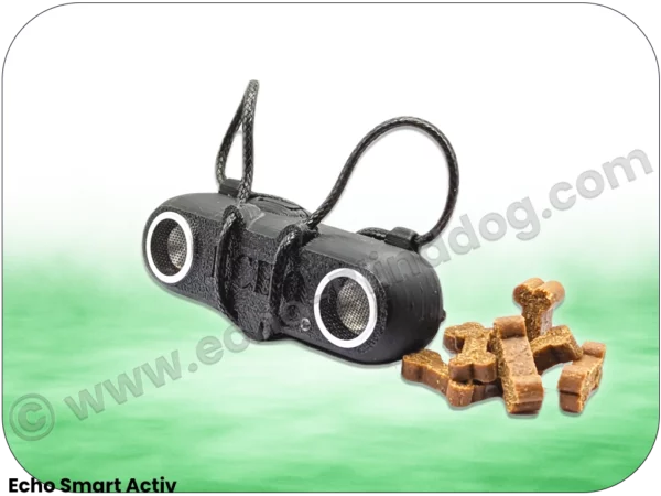 Vision sonore pour chien aveugle - Echo Smart Activ