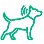 Icon representing the discovery of Echo Smart Activ on a blind dog
