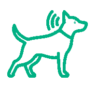 Icona che rappresenta la scoperta di Echo Smart Activ su un cane cieco
