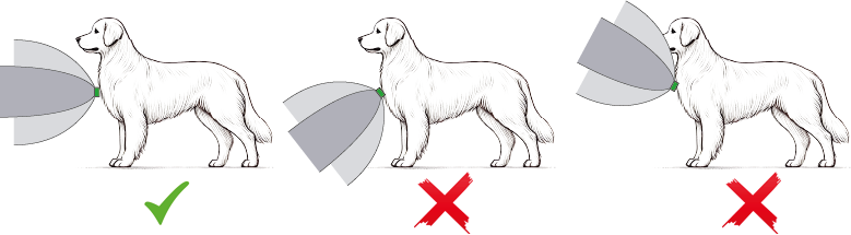 Illustrazione che mostra il corretto posizionamento di un collare per cani con sensore di movimento: la prima immagine, convalidata da un segno di spunta verde, mostra il raggio orientato orizzontalmente in avanti, mentre le altre due, contrassegnate da una croce rossa, mostrano un'inclinazione errata verso il suolo o verso l'alto.